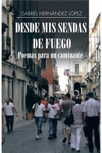 Desde mis sendas de fuego cuentos de un caminante/ Desde mis sendas de fuego poemas para un caminante