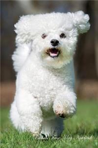 Bichon Frise May Notebook Bichon Frise Record, Log, Diary, Special Memories, to Do List, Academic Notepad, Scrapbook & More