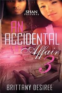 An Accidental Love Affair 3