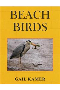 Beach Birds