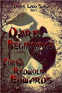 Dark Beginnings: Volume 5 (Dark Lady Saga)