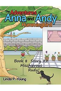 The Adventures of Anna and Andy Hummingbird