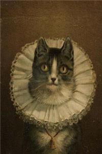 The Widow