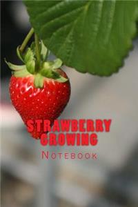 Strawberry Growing