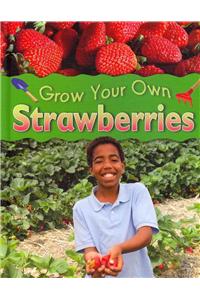 Grow Your Own Strawberries