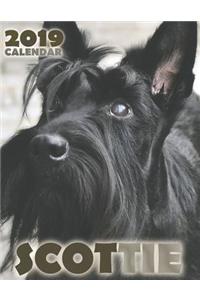 Scottie 2019 Calendar