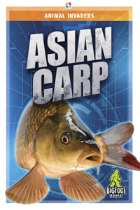 Asian Carp