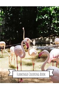 Flamingo Coloring Book