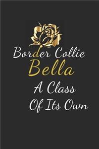 Border Collie Bella A Class Of Its Own