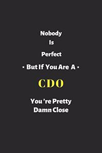 Nobody is perfect but if you are a CDO you're pretty damn close