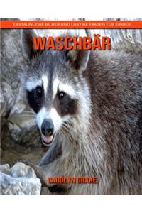 Waschbär