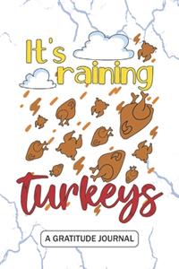 It's Raining Turkeys - A Gratitude Journal