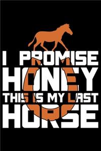 I Promise Honey This Is My Last Horse
