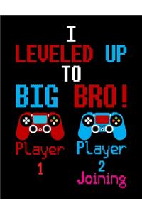 I Leveled Up To Big Bro Player 1 Player 2 Joining