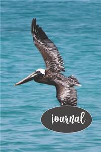 Flying Pelican Journal