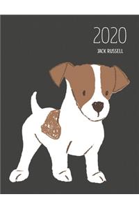 2020 Jack Russell