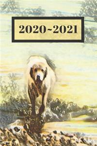 White Sheepdog Great Pyrenees Dated Calendar Planner 2 years To-Do Lists, Tasks, Notes Appointments