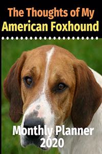 The Thoughts of My American Foxhound