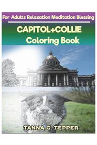 CAPITOL+COLLIE Coloring book for Adults Relaxation Meditation Blessing