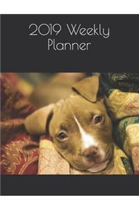 2019 Weekly Planner