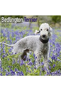 Bedlington Terrier Calendar 2018