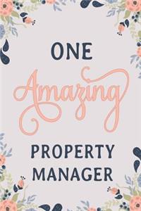 One Amazing Property Manager