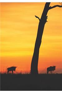 2019 Appointment Calendar: 2019 Daily Planner Goal Planner Wildebeest Sunset