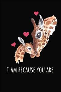 I Am Because You Are