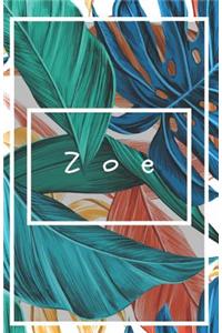 Zoe's Notebook