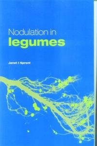 Nodulation in Legumes