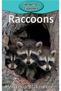 Raccoons
