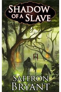 Shadow of a Slave