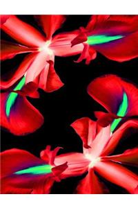 Red Iris Notebook