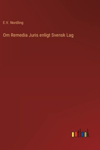 Om Remedia Juris enligt Svensk Lag