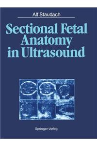 Sectional Fetal Anatomy in Ultrasound