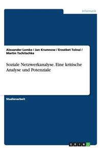 Soziale Netzwerkanalyse. Eine kritische Analyse und Potenziale