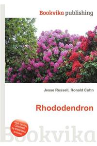 Rhododendron