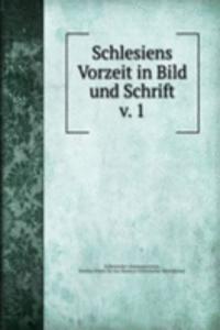 Schlesiens Vorzeit in Bild und Schrift