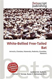 White-Bellied Free-Tailed Bat