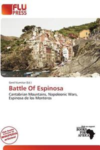 Battle of Espinosa