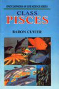 Class Pisces