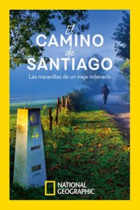 El Camino de Santiago: Las maravillas de un viaje milenario