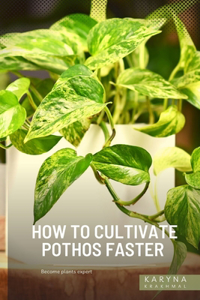 How to cultivate Pothos Faster