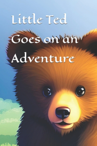 Little Bear Goes on an Adventure
