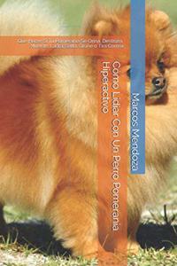 Cómo Lidiar Con Un Perro Pomerania Hiperactivo
