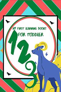 My first learning books for toddler.