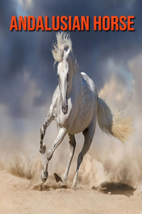 Andalusian Horse