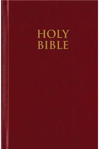 Church Bible-NIV