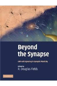 Beyond the Synapse