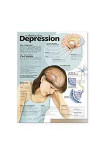 Understanding Depression Anatomical Chart